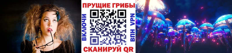 Купить закладки  Сясьстрой  Галлюциногенные грибы Psilocybine cubensis 