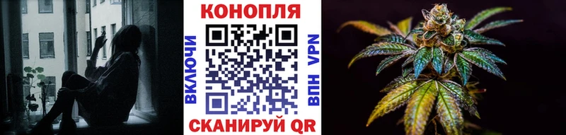 Купить где  Сясьстрой  Шишки марихуана гибрид 